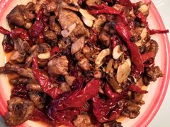 -柴窝堡22号辣子鸡·传承新疆菜