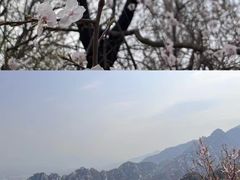 -北京凤凰岭