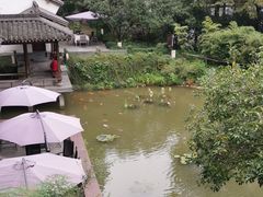 -嘉龙茶庄