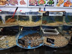 -鑫渔港海鲜本地菜·山海关浑锅(东戴河店)