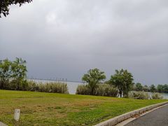 -漕湖湿地公园