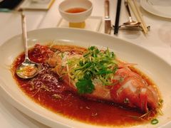 -东海朗廷酒店-唐阁T’ANG COURT 中餐厅