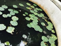 -青岛崂山太清宫