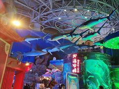-烟台海昌鲸鲨海洋公园