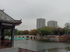 -荔湾湖公园