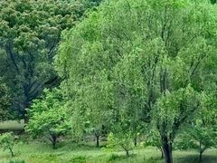 -东方绿舟景区