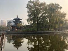 -迎泽公园