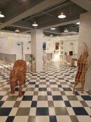 -宝贝天空儿童摄影(花溪店)