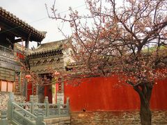 -一盏明灯全素斋(殊像寺店)