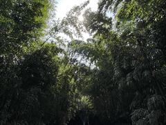 -红螺寺