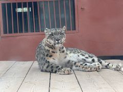 -青藏高原野生动物园