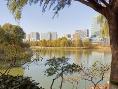 -大兴滨河森林公园