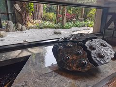 -深圳隐秀山居酒店