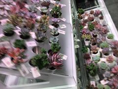 -KKV(深圳宏发大仟里店)