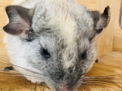 -平行世界·猫咖(首经贸店)