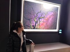 -罗红摄影艺术馆