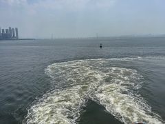 -招商蛇口邮轮母港(观光客运)