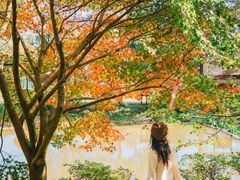 -田野绿世界