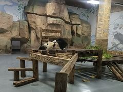 -无锡动物园·太湖欢乐园
