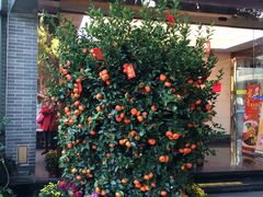 门面-潮喜竹溪荔湖酒家(荔枝湾店)