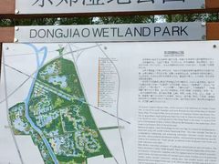 -东郊湿地公园