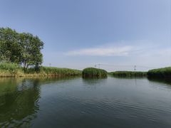 -白洋淀风景区