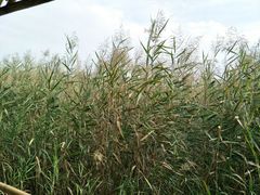 -处女泉风景名胜区