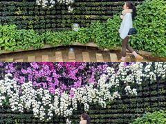 -石家庄市植物园