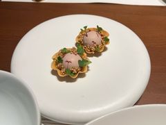 -觀芷隐轩