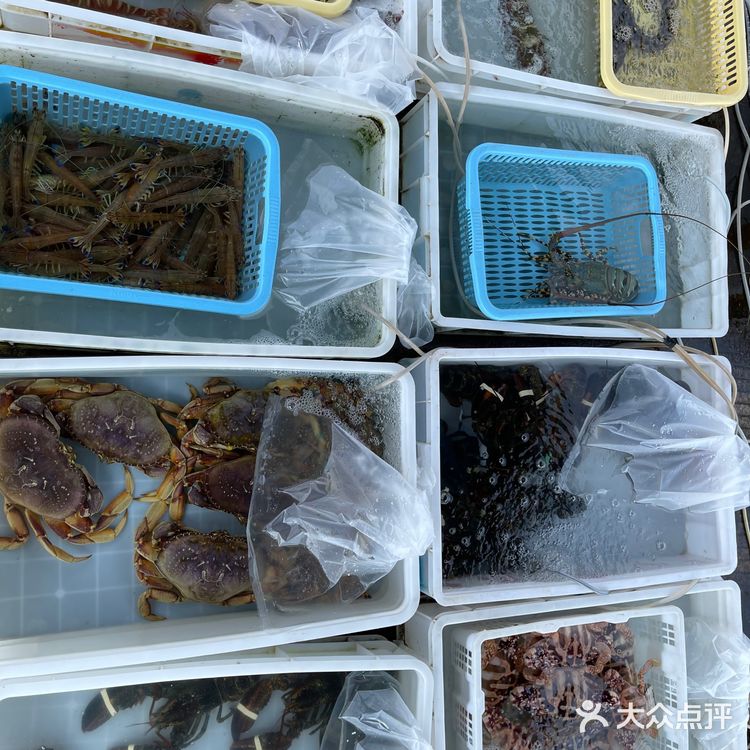 新村码头!海鲜买到爽,帮你避坑!