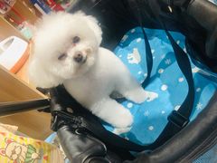 -FAELING PETS美天灵宠物(富力广场店)
