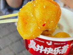 -黑色经典臭豆腐·湖南特产(坡子街店)