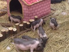 -远洋未来广场(育慧北路店)