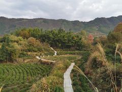 -塔川景区