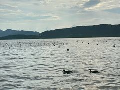 -杭州湖滨银泰in77