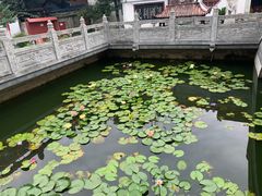-卓刀泉寺