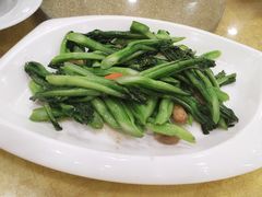 -姚林轩