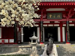 -大慈恩寺(大雁塔)