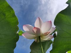 -上海辰山植物园