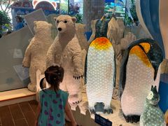 -帝企鹅自助餐厅•儿童岛•真企鹅(长隆企鹅酒店)