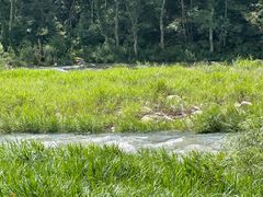 -大连冰峪旅游度假区
