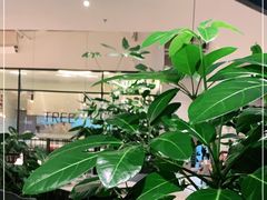 -大树餐厅(红旗街万达店)