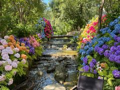 -沂蒙云瀑洞天景区