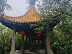 -雨花胜境