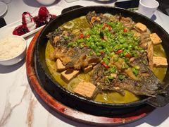 -老板恋上鱼(高新万达店)