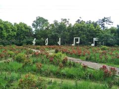 -广东花都香草世界旅游度假区