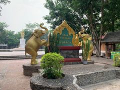 -西双版纳傣族园