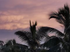 -西秀海滩公园