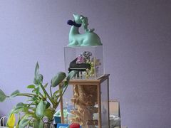 -圣典成人钢琴俱乐部(国贸旗舰校区)