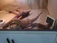 -喵园·猫主题咖啡厅·撸猫·猫咖(国贸店)